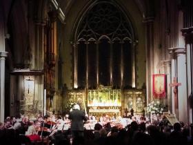 Amici lightabre main